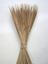 Obrázek Typha pencil (Reed spadix pencil) - přírodní (100ks)