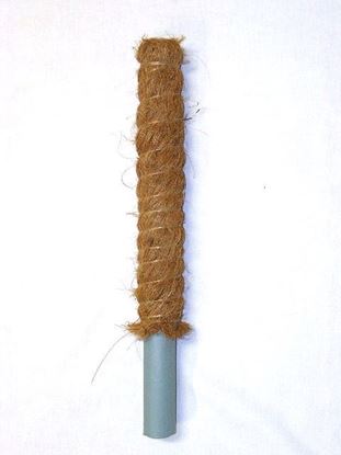 Obrázok z Tyč kokosová 50 cm, Ø 32 mm
