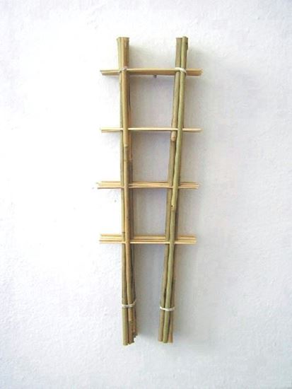 Obrázek z Žebřík bambusový 105 cm - BALENÍ 10ks 