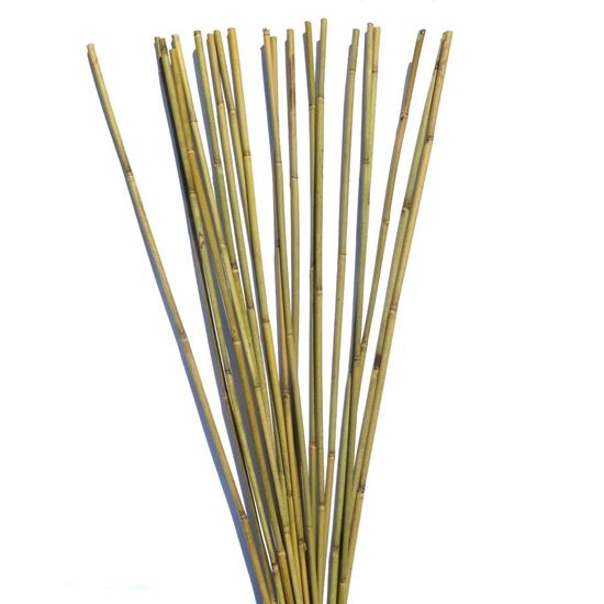 Obrázek z Tyč bambusová 120 cm, 10-12 mm 