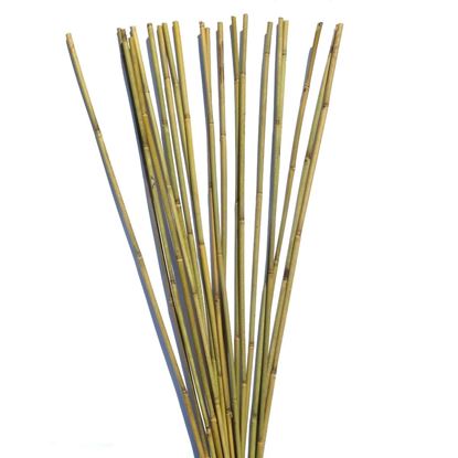 Obrázek Tyč bambusová 270 cm, 22-24 mm