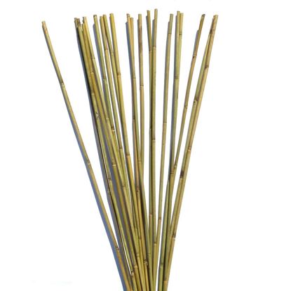 Obrázek Tyč bambusová 105 cm, 6-8 mm