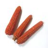 Picture of Maize fruit - barevné (15ks)