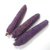 Picture of Maize fruit - barevné (15ks)