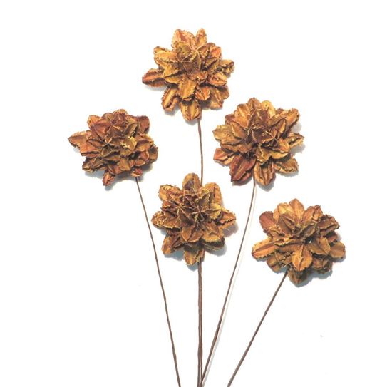 Obrázek z Arjun flower - přírodní, na stonku (10ks) 