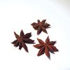 Obrázok z Star anise (0,5kg)