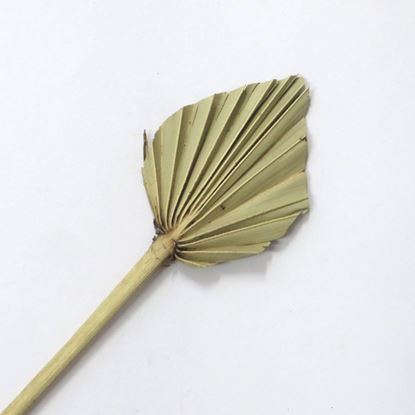 Obrázek Palm spear small - přírodní (10ks)