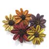 Obrázek z Arjun sunflower - barevná (25ks) 