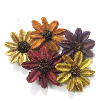 Obrázek Arjun sunflower - barevná (25ks)