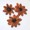 Obrázek z Arjun sunflower - barevná (25ks) 