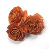 Picture of Cedar rose - barevná (25ks)