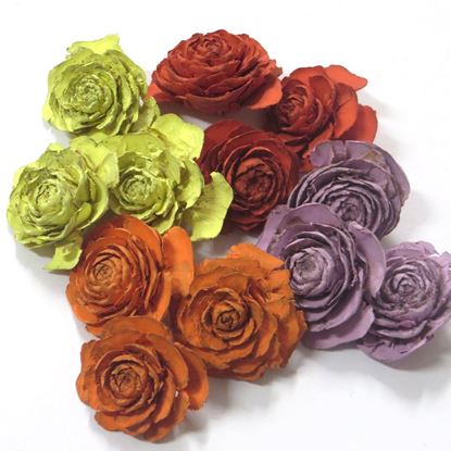 Obrázek Cedar rose mini - barevná (0,5kg)
