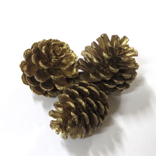 Obrázek z Blue pine - šišky - zlatá, stříbrná (20ks) 