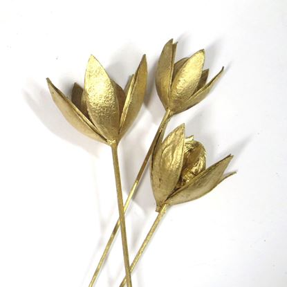 Obrázok z Wild lily na stonke - zlatá, strieborná (10ks)
