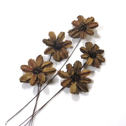 Obrázek Arjun sunflower - přírodní, na stonku (15ks)