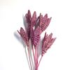 Obrázok z Lata lily - farebná, na stonke (5ks)
