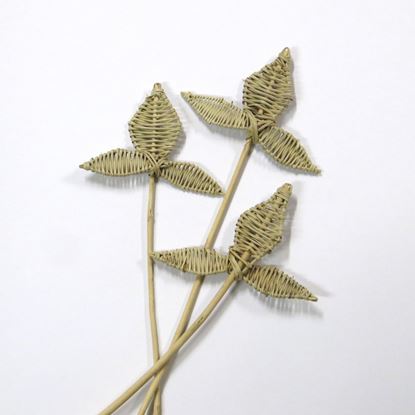 Obrázek Lata leaves - přírodní, na stonku (5ks)