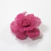 Picture of Luffa deco rose 6cm - barevná (10ks)