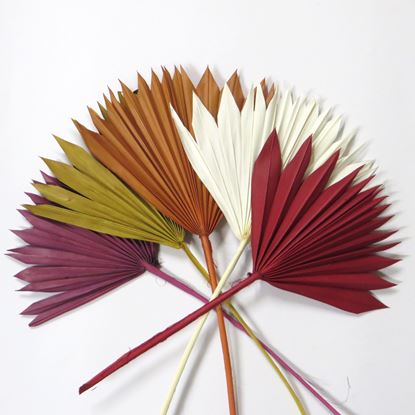 Obrázek Palm sun spear small - barevný (10ks)