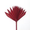 Picture of Palm sun spear small - barevný (10ks)