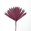 Obrázok z Palm sun spear small - farebný (10ks)